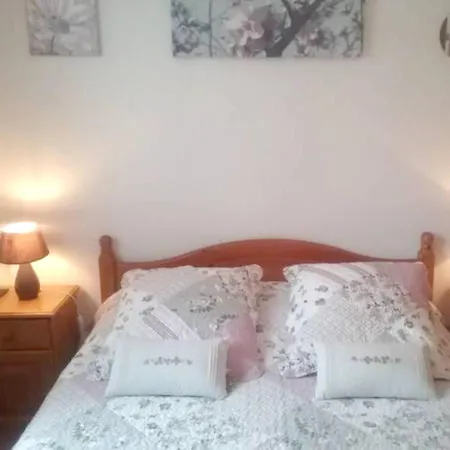 Appartement d'une chambre a Gerardmer avec magnifique vue sur le lac terrasse amenagee et WiFi a 150 m de la plage Gérardmer